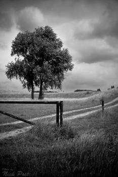 The dark weather of Holland