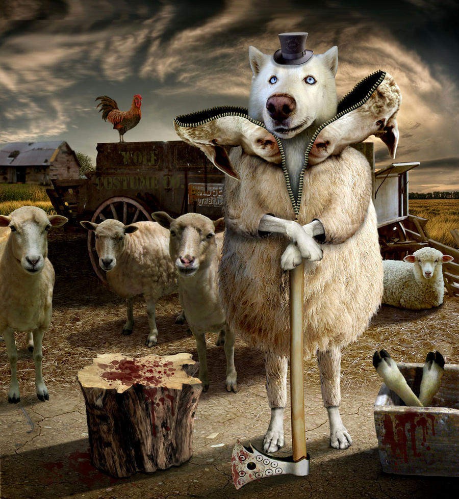 Wolf in sheeps clothes