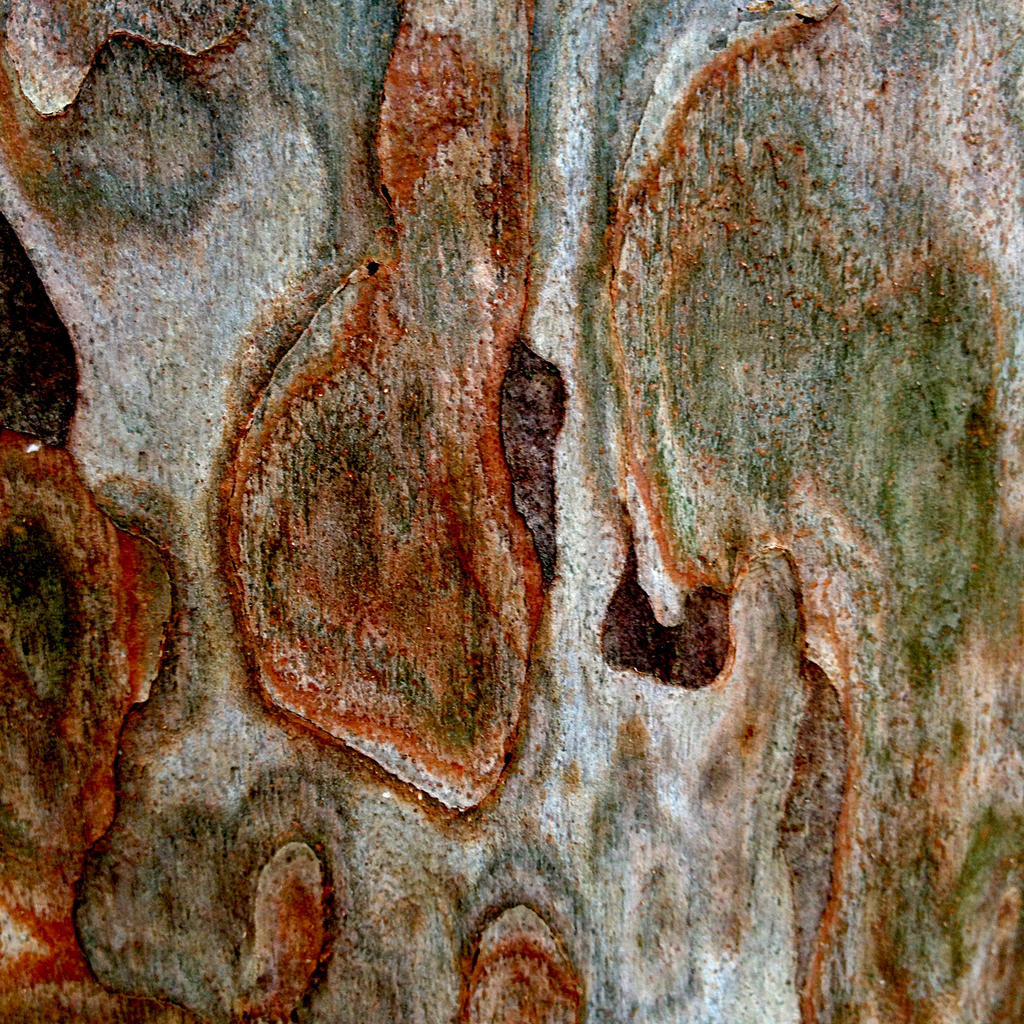 Tree Marks. by Yoshida901 on DeviantArt