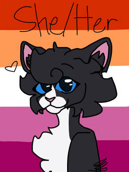 Gay cat