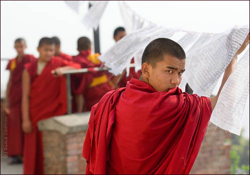 The young Buddhist monk