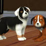 Dizzy and Blacky had more puppies?!