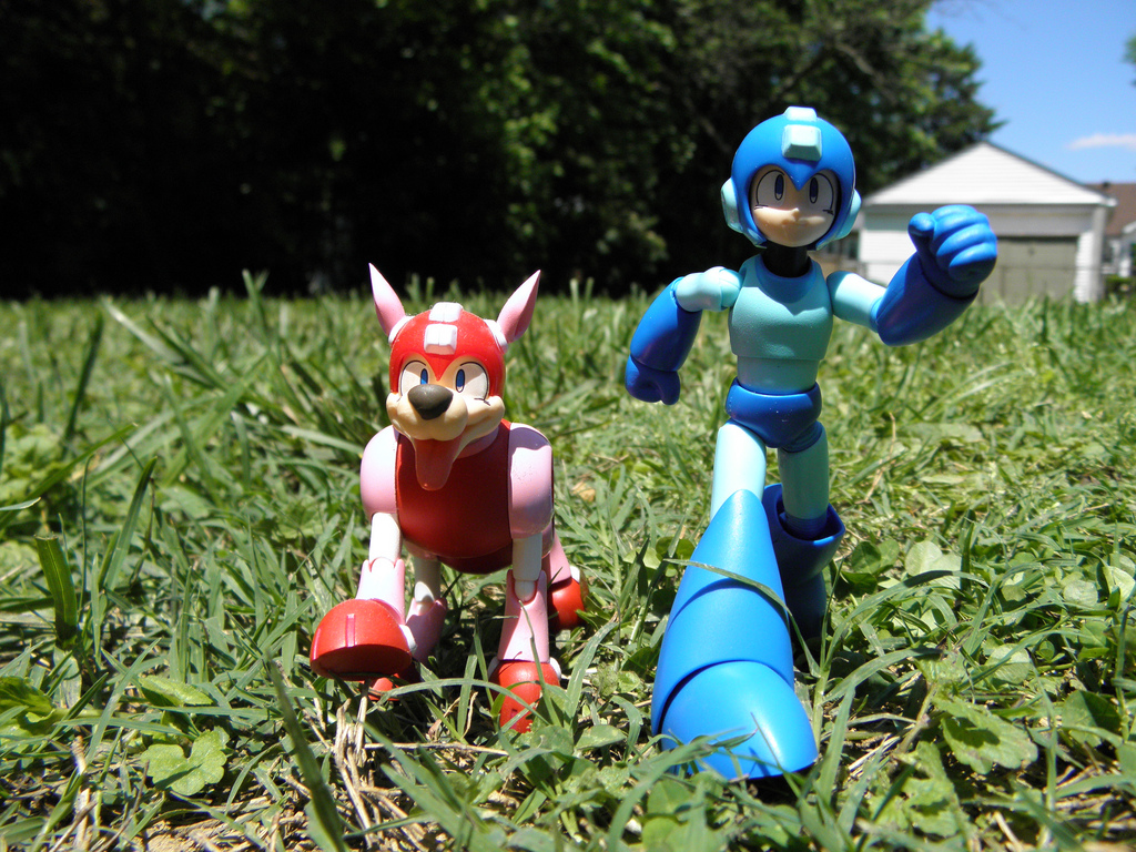 Megaman and Rush advenutures