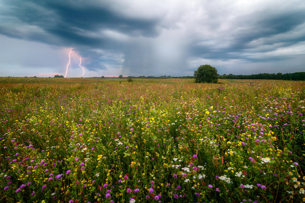 Storm in Paradise by xrust