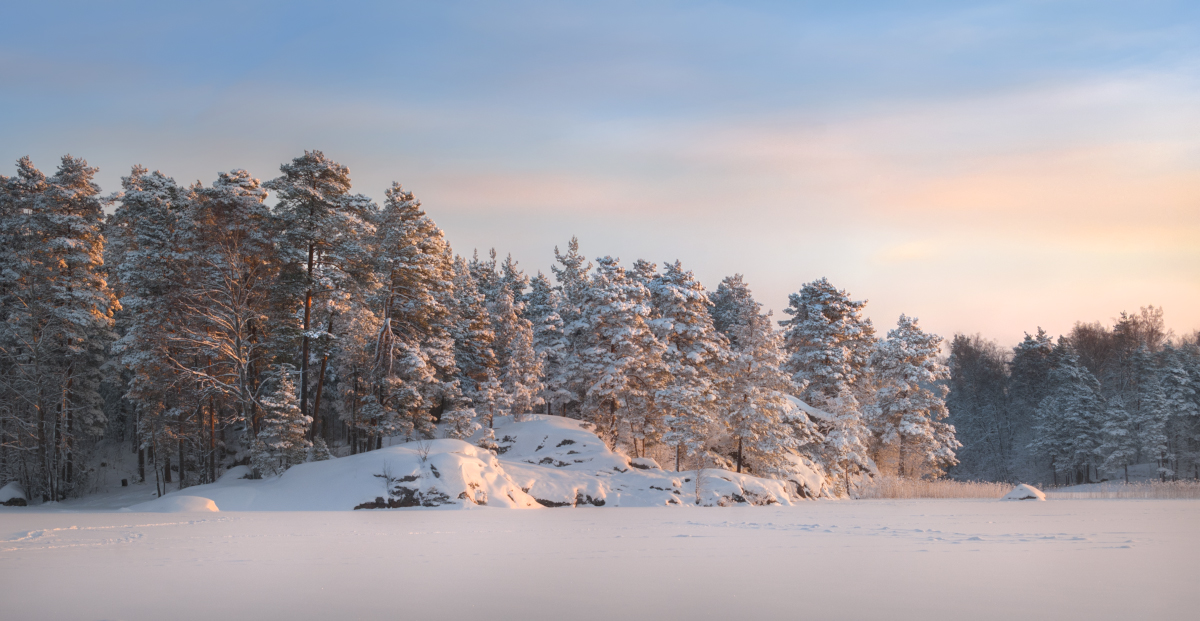 Winter morning