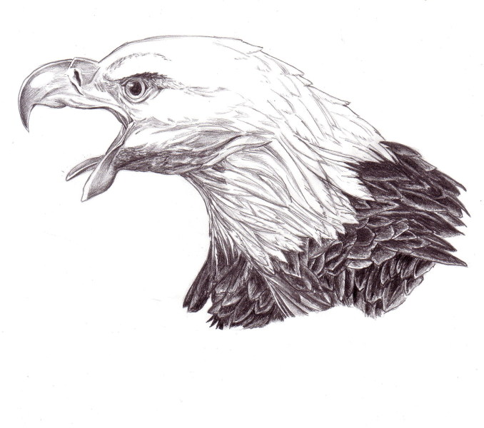 Eagle