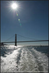 Golden Gate Ferry