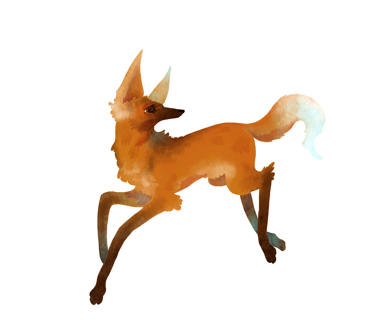 Maned wolf