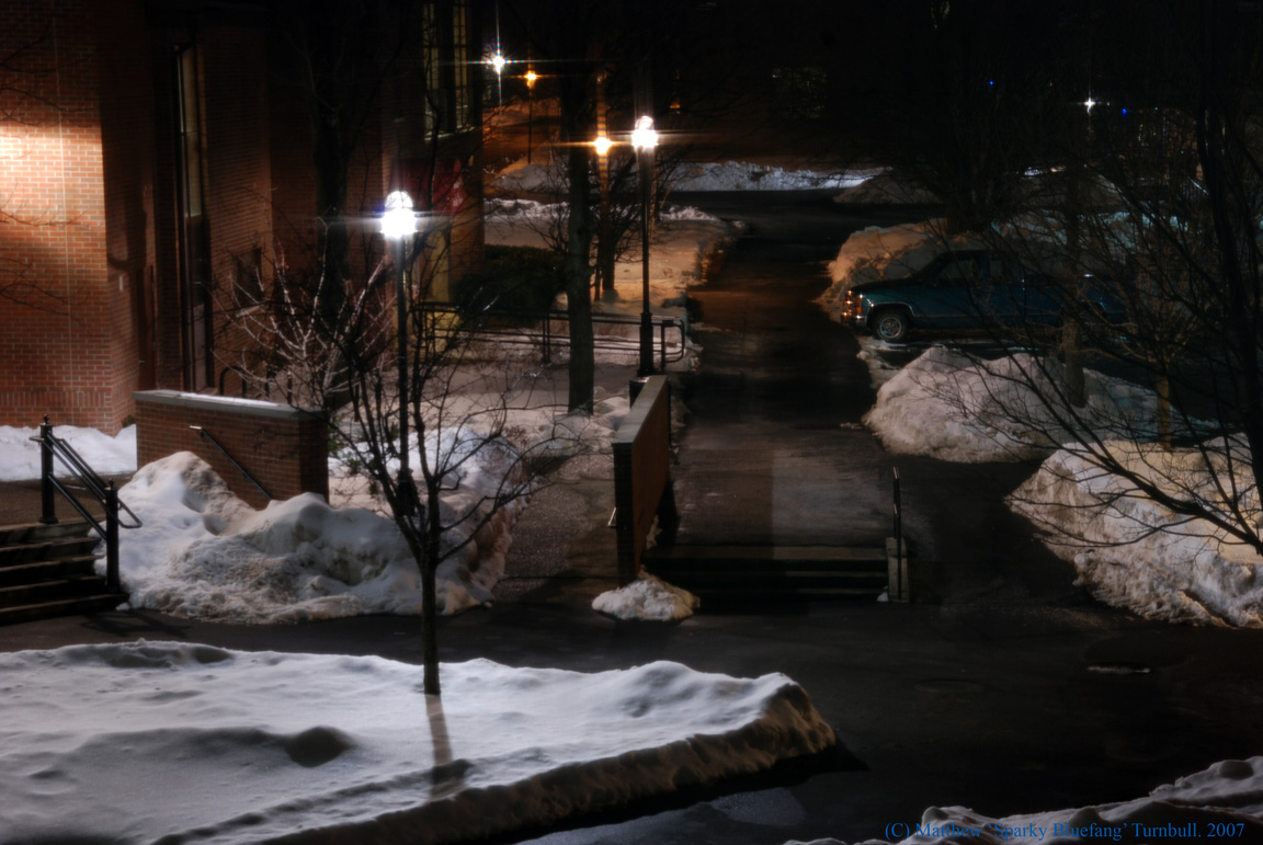 Campus Nightlife by SparkyBluefang
