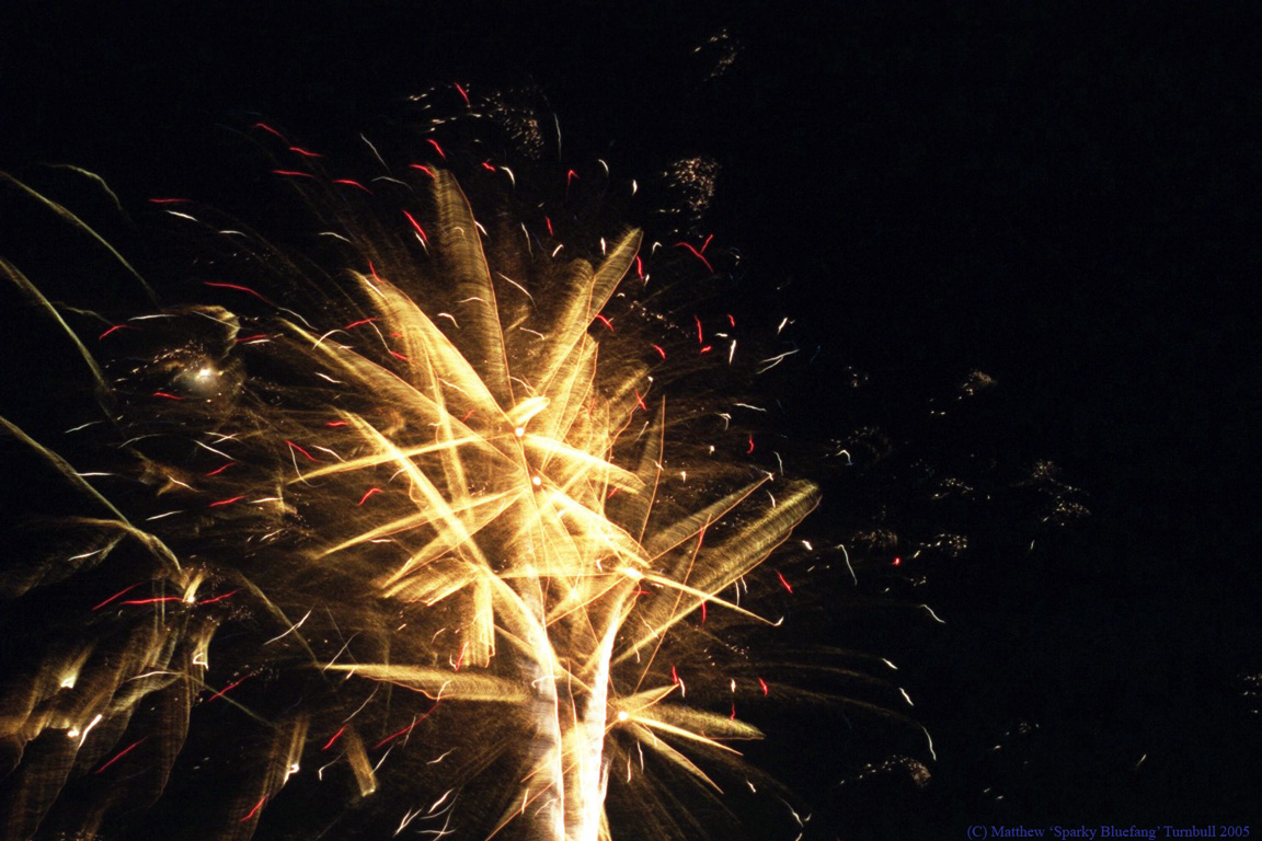 NSJ 2005 Fireworks by SparkyBluefang