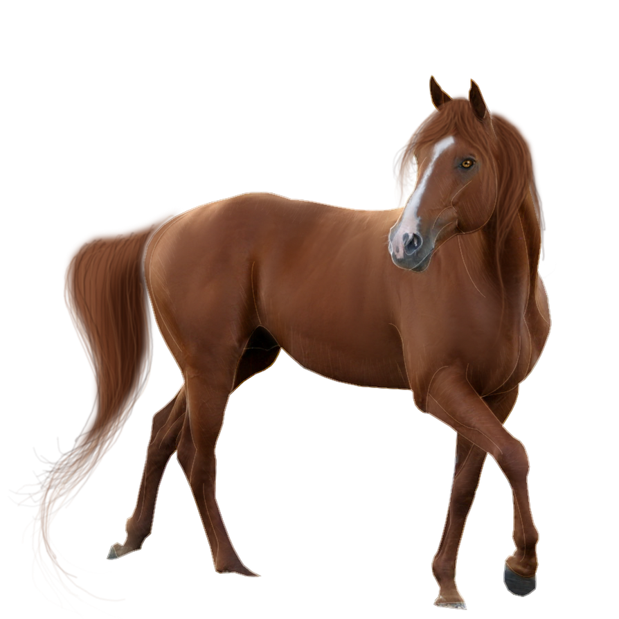 Horse Pre-Cut #4 by Satrumm