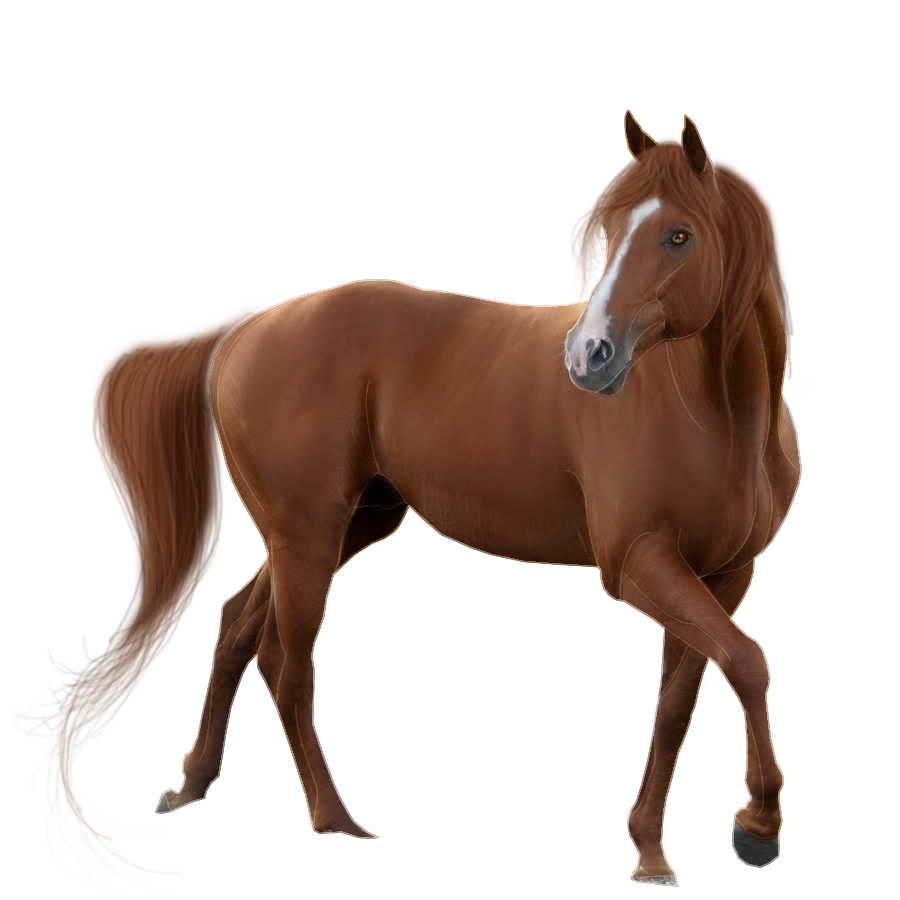 Horse Pre-Cut #4 by Satrumm