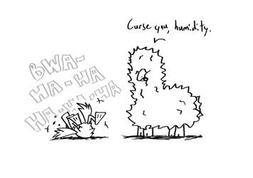 Fluff + Feathers: Humid Humor