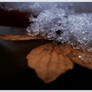 Winterwalk 1