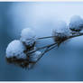 Winterwalk 4