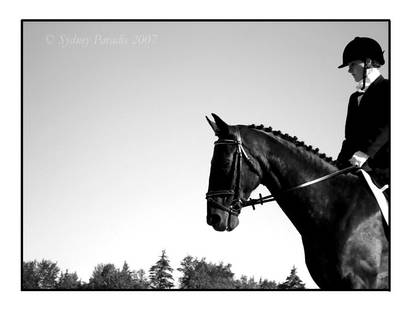 Dressage in Black