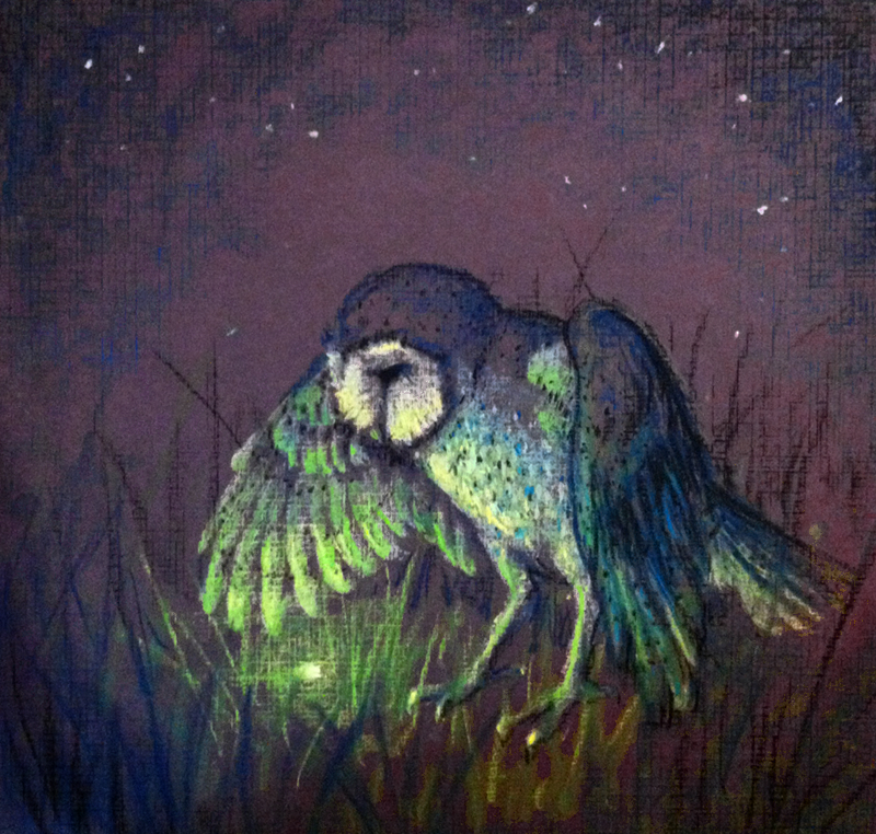 Owl and Firefly