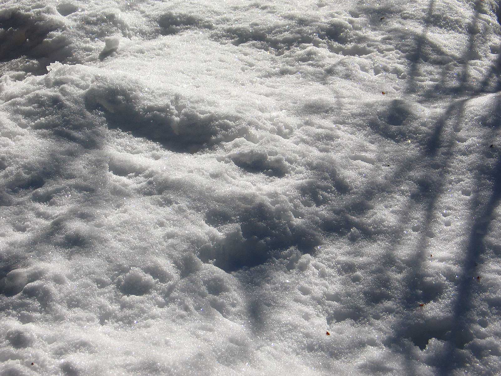 AthenaStock: Snow Patch Shadow