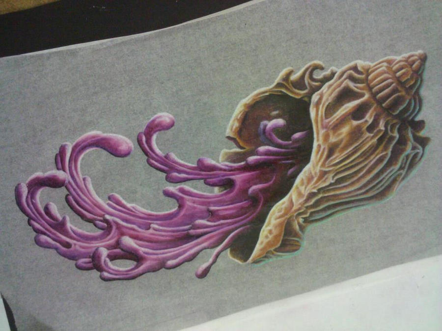 conch shell by InYoGrillCHEEZE on DeviantArt