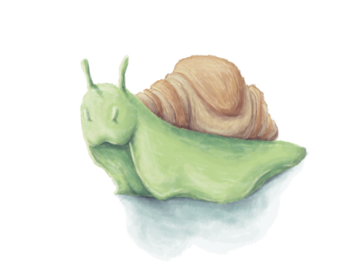 Snail