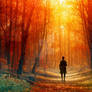 .STOCK - Cinematic Forest Environments