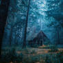 .STOCK - Cinematic Forest Environments