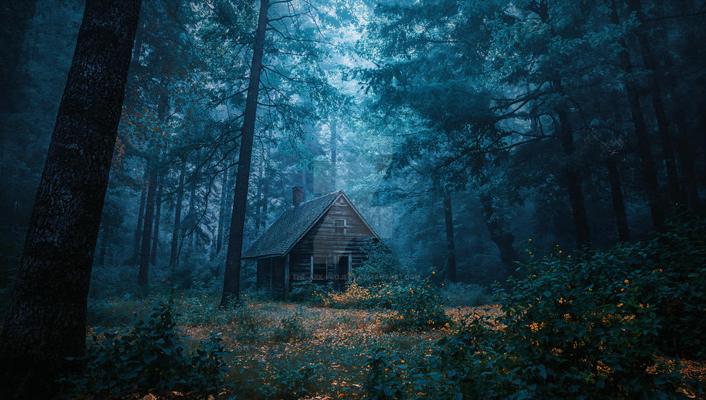 .STOCK - Cinematic Forest Environments