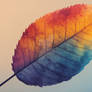 .STOCK - Plants and Leaves Collection