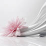 Where Softness Meets the Storm