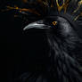 The Crown of Endless Night