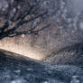 The Shattered Dawn at Winter's Edge