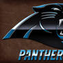 Panthers logo