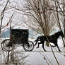Amish Buggy in Winter