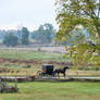 Amish Buggy Passes Split Rail Fence