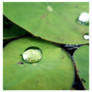 ...: Droplet:...