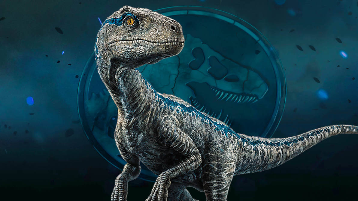 Jurassic World Velociraptor Blue Wallpaper by DrEmuler on DeviantArt