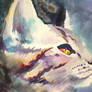 Watercolor Cat 2