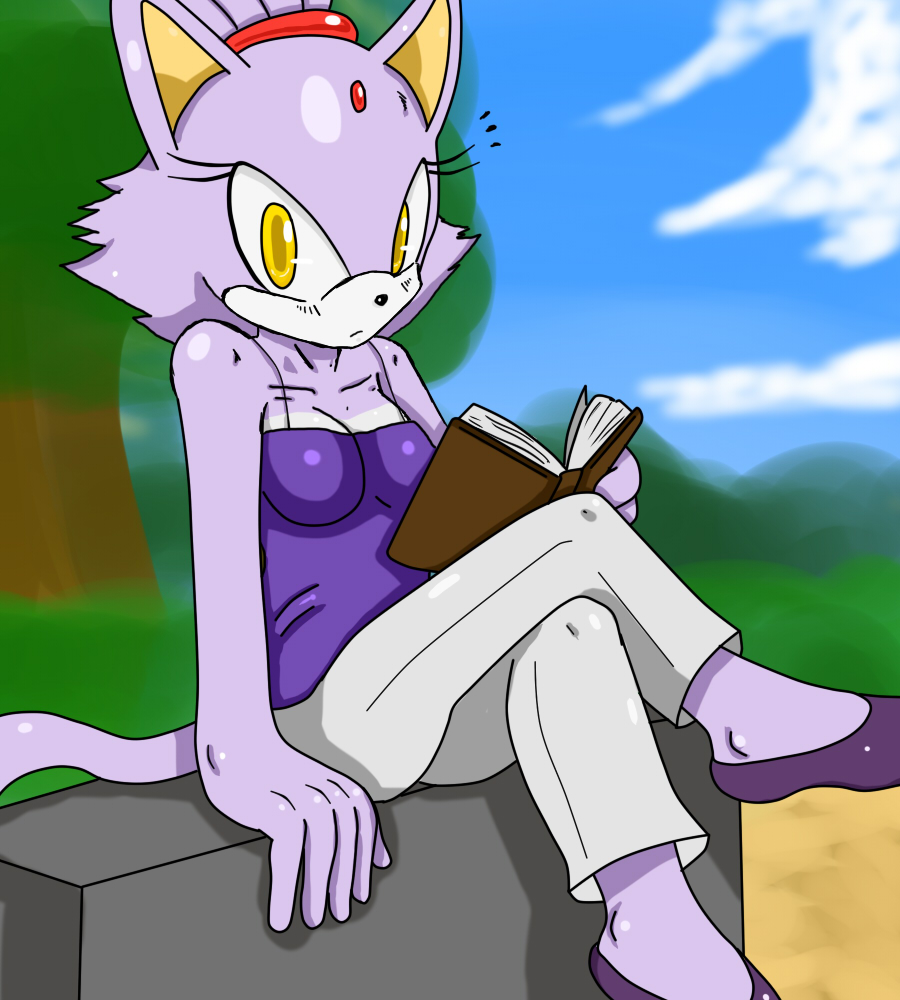 Blaze The Cat on Shadows-Musketeers - DeviantArt.