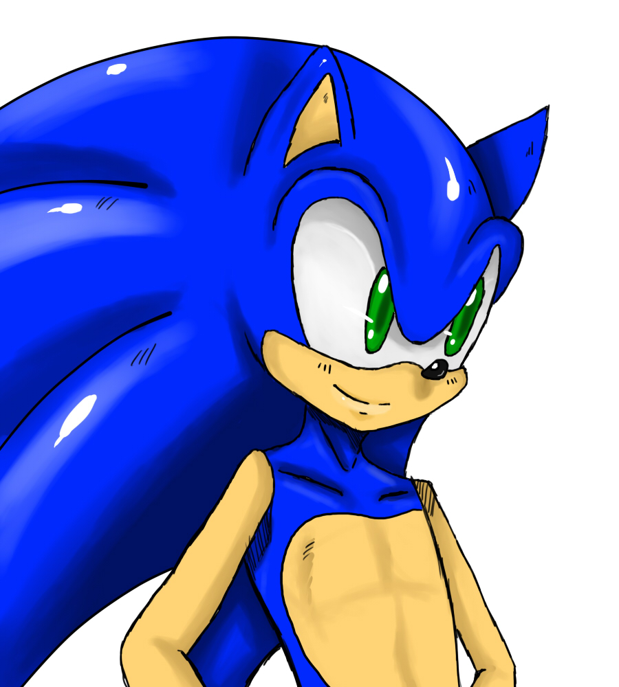 Sonic Portrait