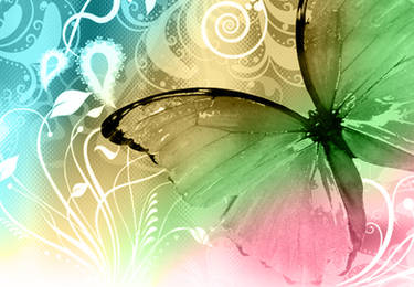 colorful butterfly