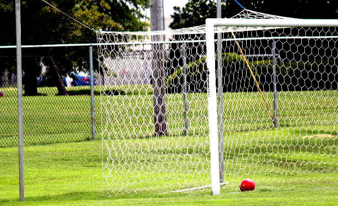 Net and Ball
