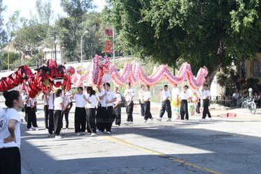Chinese New Year Parade 2013