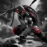 Raphael - Grey Scale