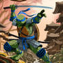 Teenage Mutant Ninja Turtle Collection
