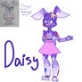 Daisy Redesign // @DaisytheBunBon