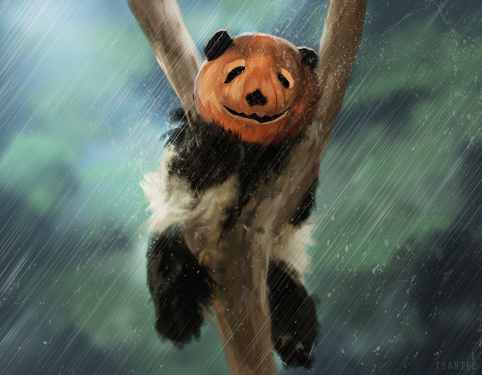 Panda Pumpkin head