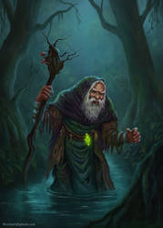 Swamp elder