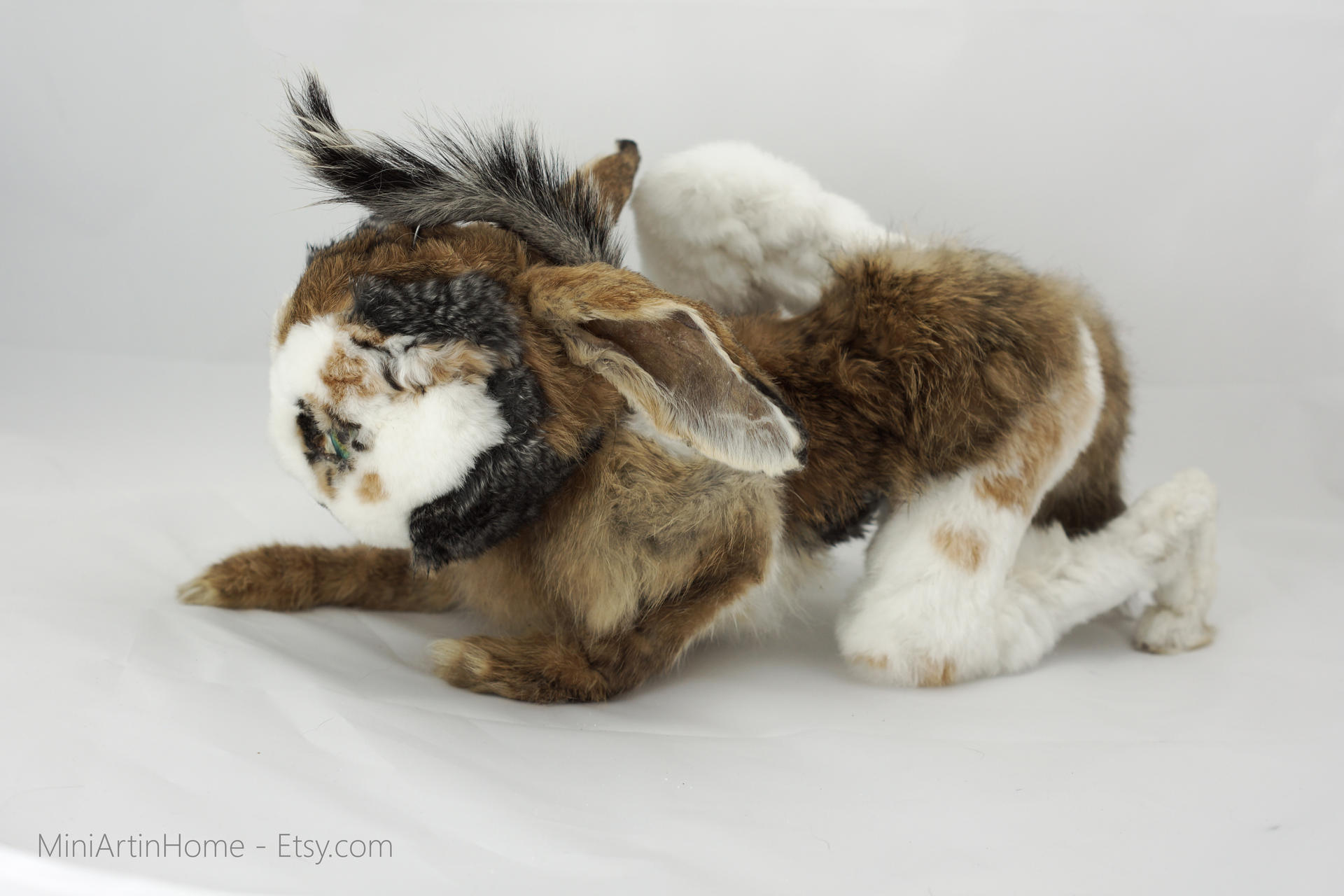 strange ghoul real rabbit taxidermy