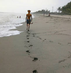 photomorph 1 (a tiger on the beach)