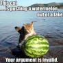 your argument is invalid